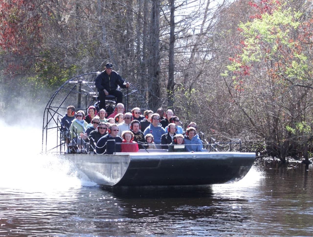 Florida Nature Coast Tour: Crystal River with Manatees Snorkelling, Homosassa State Park - image 9