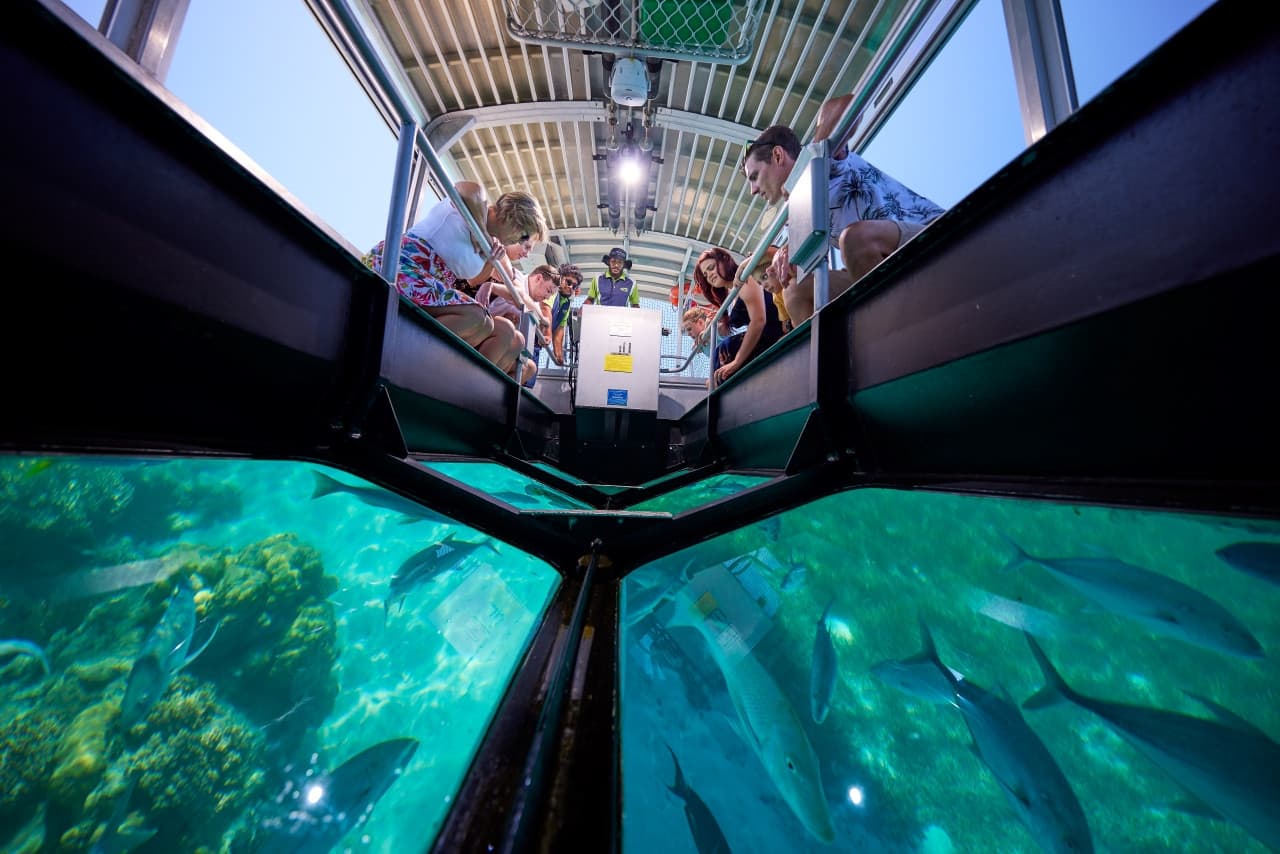 Green Island Reef Full-Day Cruise - image 9