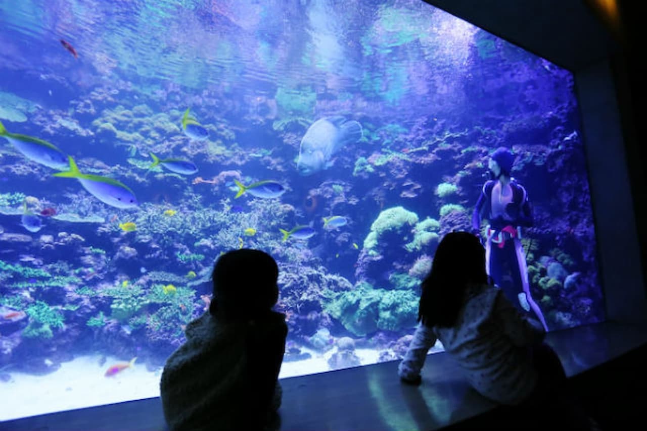 Oita Marine Palace Aquarium Umitamago Ticket - main image