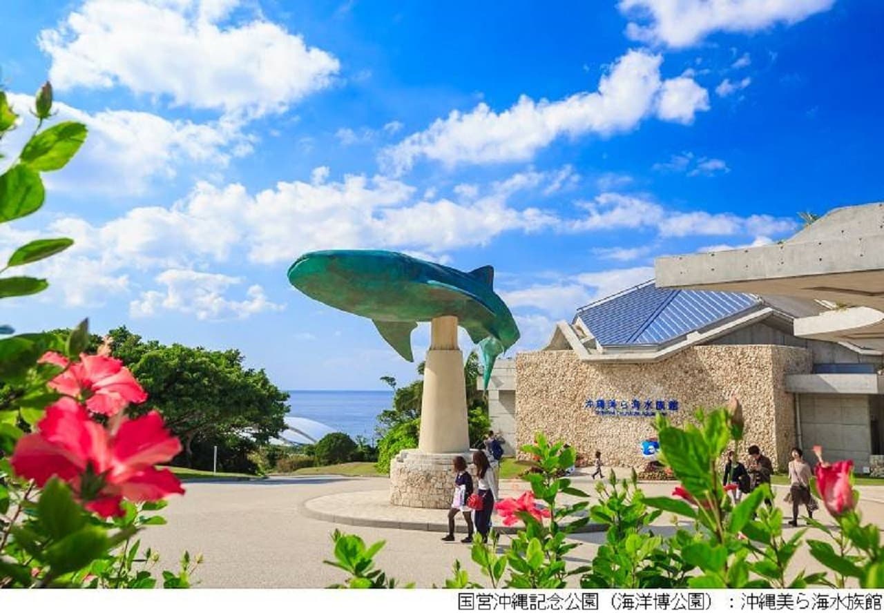 Pase Okinawa Churaumi TokuToku 5 - imagen principal