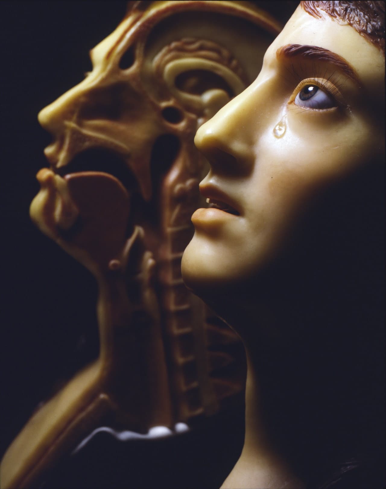 Musée de l'Homme - main image