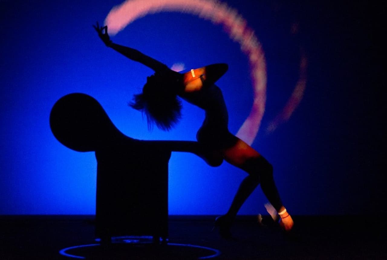 Crazy Horse Paris Show Ticket - image 5
