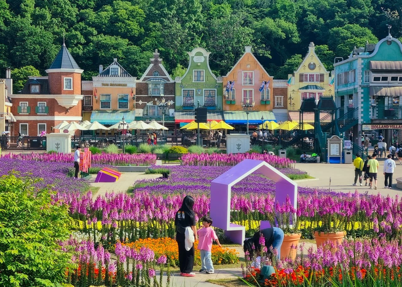 Everland Theme Park with Round Trip Transfers from Seoul - image 12