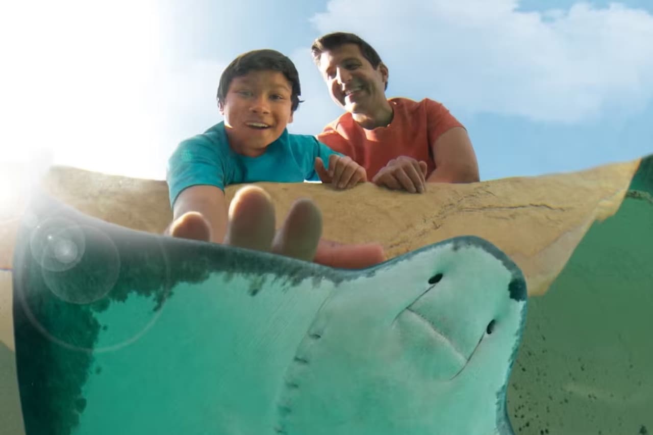 SeaWorld San Diego Ticket: Direct Entry - image 14
