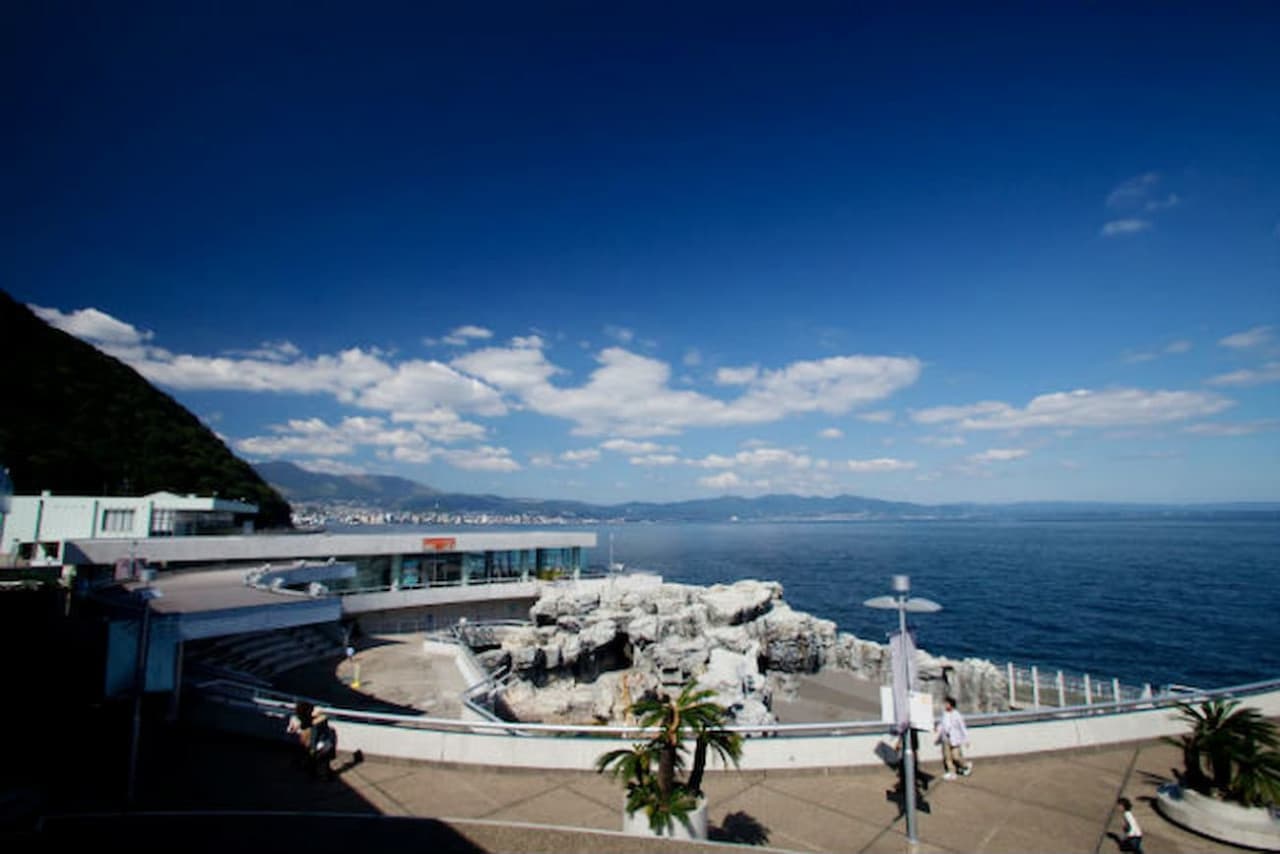 Oita Marine Palace Aquarium Umitamago Ticket - image 10