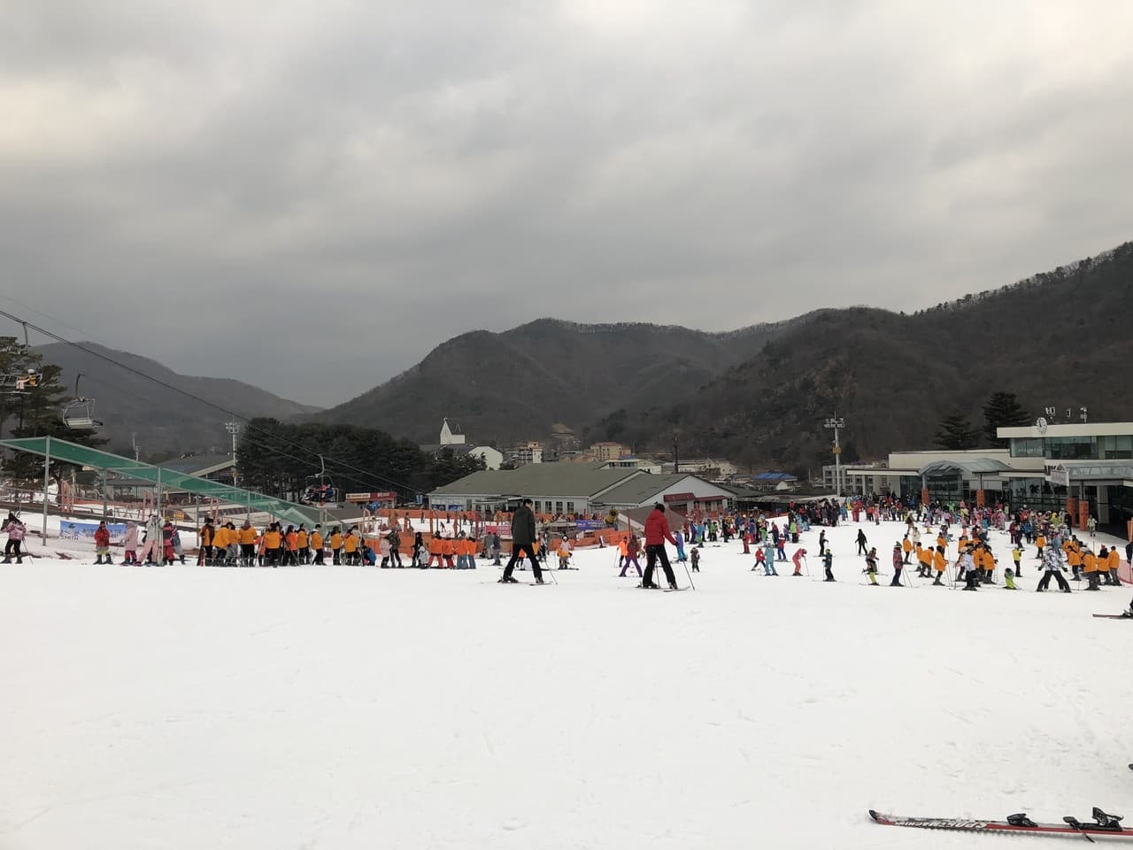 Jisan Forest Ski Resort Full-Day Tour from Seoul - image 6