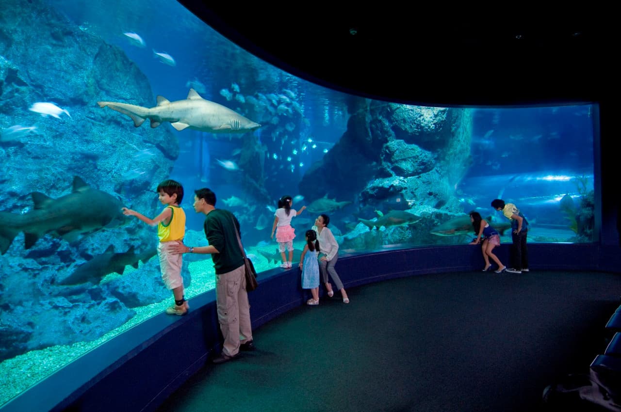 COMBO: SEA LIFE Bangkok Ocean World + Madame Tussauds Bangkok Tickets - main image