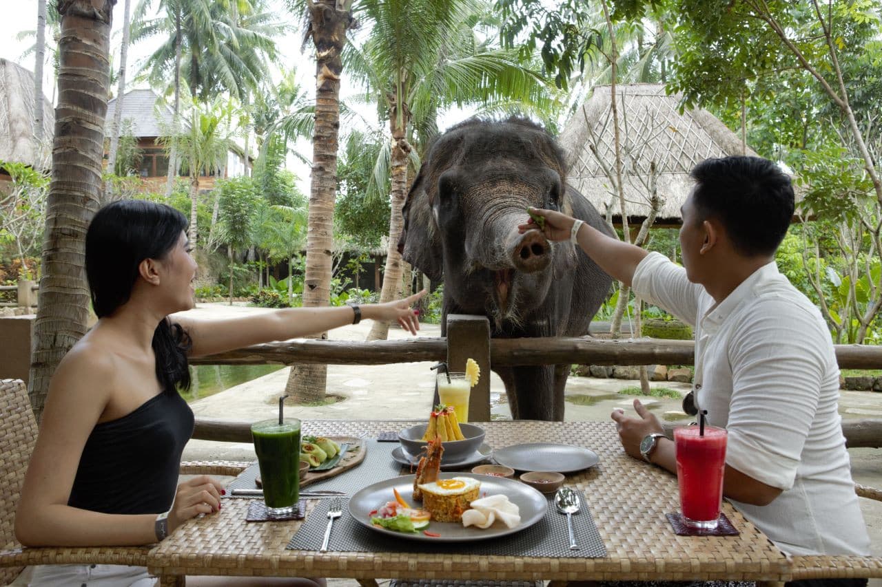 Lombok Wildlife Park Elephant Bath Experience - image 2