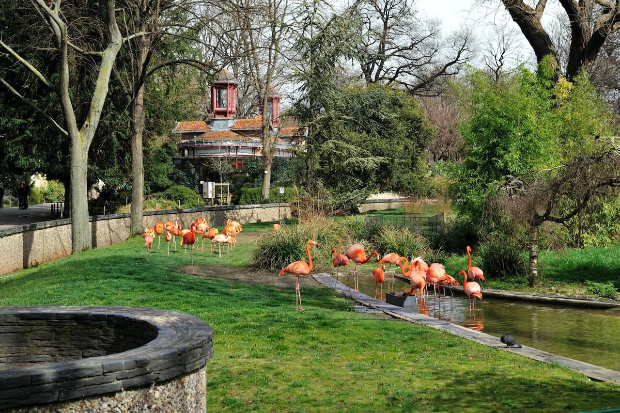 Ménagerie, zoológico del Jardin des Plantes - imagen 4