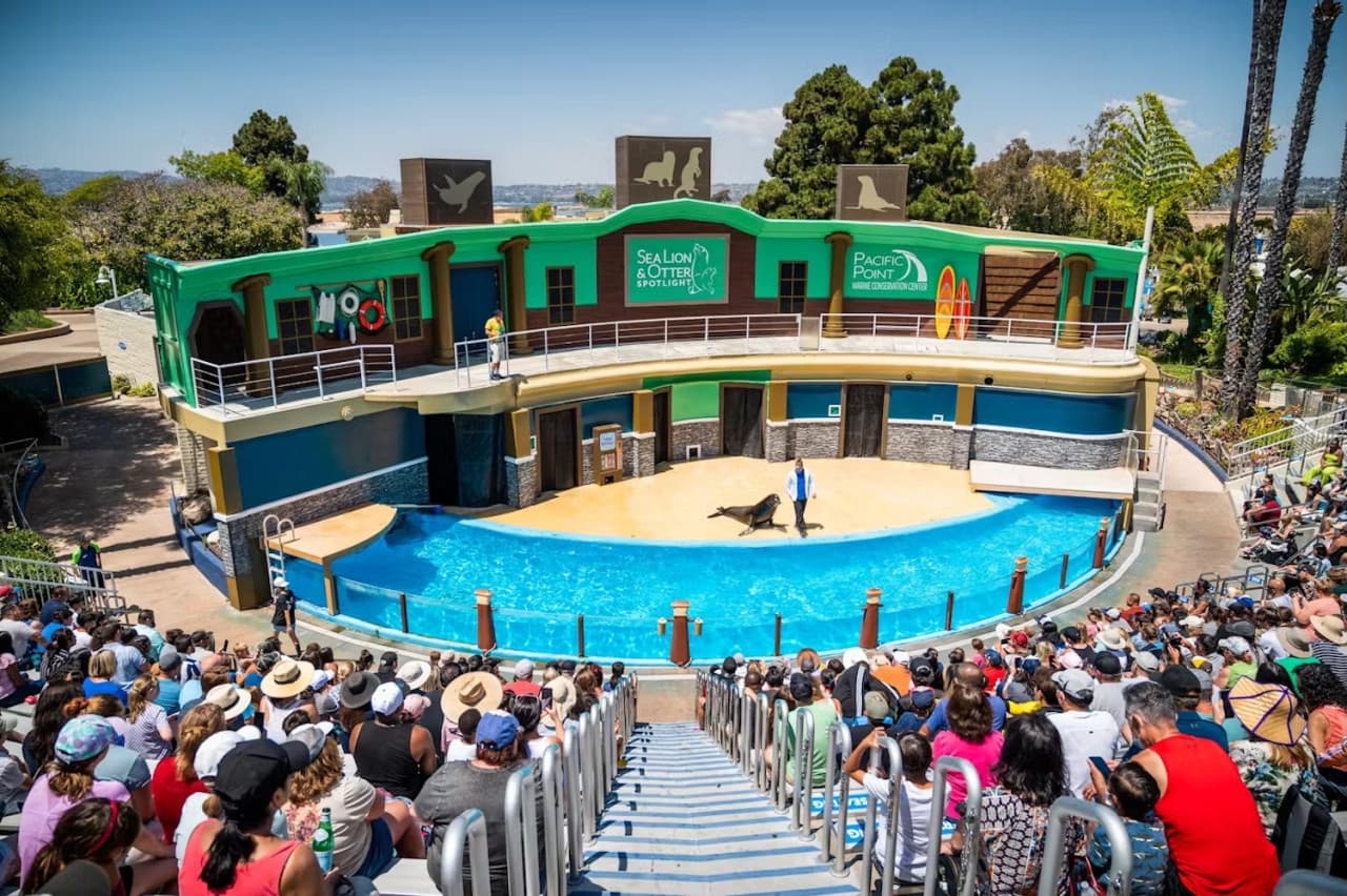SeaWorld San Diego Ticket: Direct Entry - image 12