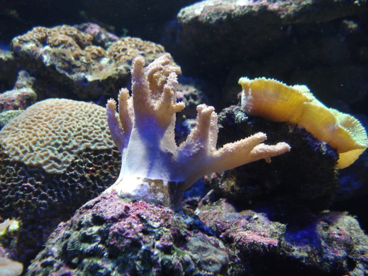Underwater World Langkawi Ticket - image 8