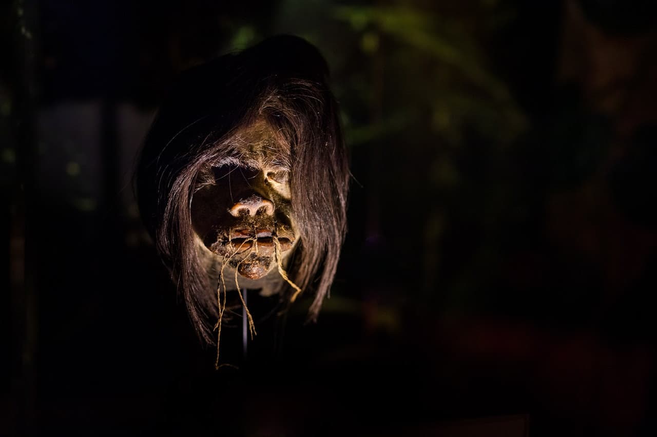 Ripley's Believe It or Not! Amsterdam - image 6