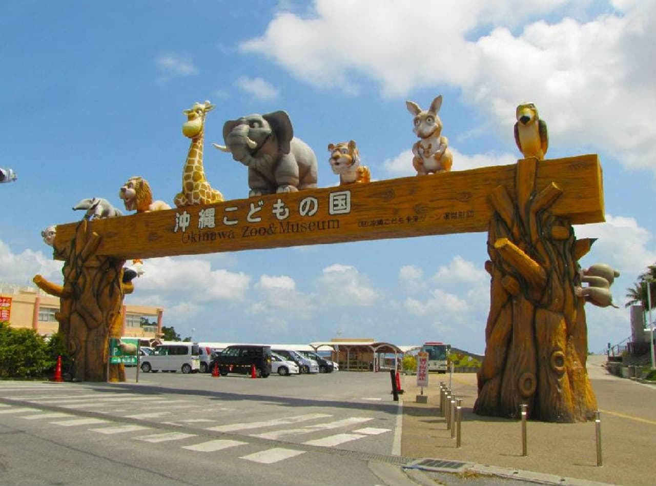 Okinawa Churaumi TokuToku 5 Pass - image 9