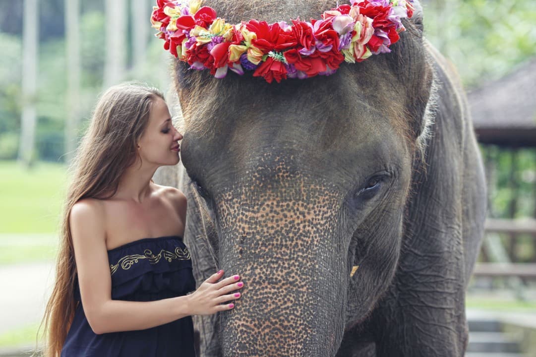 Mason Elephant Park Bali de Mason Adventures (anteriormente conocido como Elephant Safari Park) - imagen 2