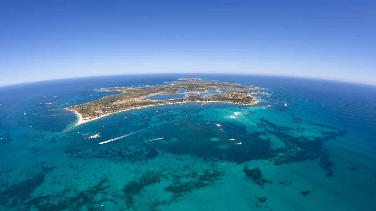 Round Trip SeaLink Ferry to Rottnest Island - image 6