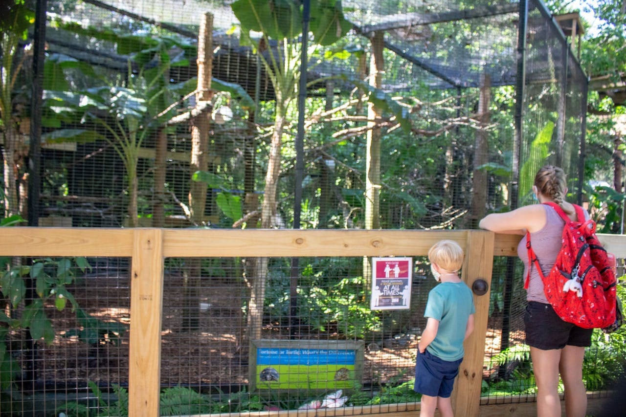 Central Florida Zoo & Botanical Gardens Ticket - image 9