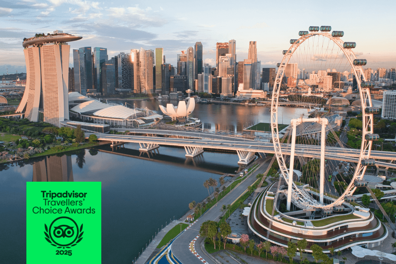 COMBO: Entrada para Singapore Flyer + Gardens by the Bay - imagen 2