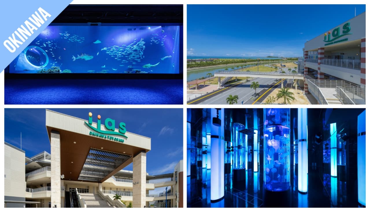 Have Fun in Okinawa Pass - 1 Week Free Pass - image 2
