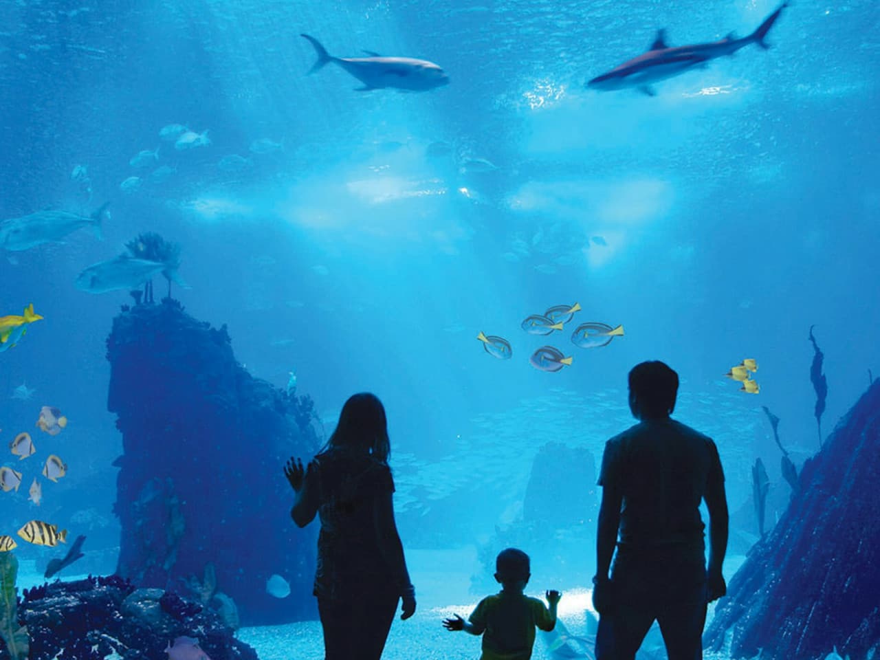 Antalya Aquarium and Face 2 Face Wax Museum Ticket - image 2