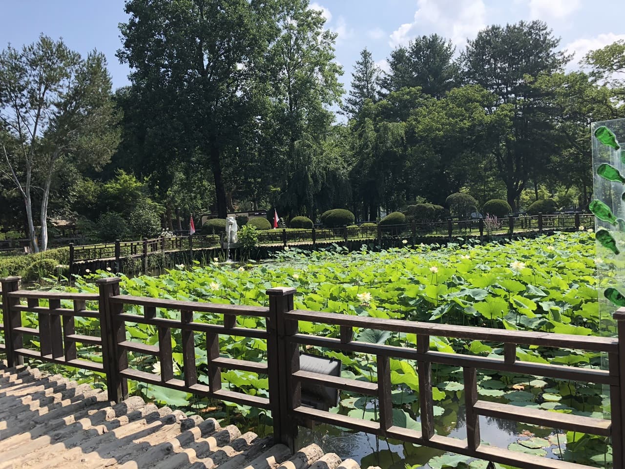 Nami Island and Mount Seorak Full-Day Tour from Seoul - 이미지 7