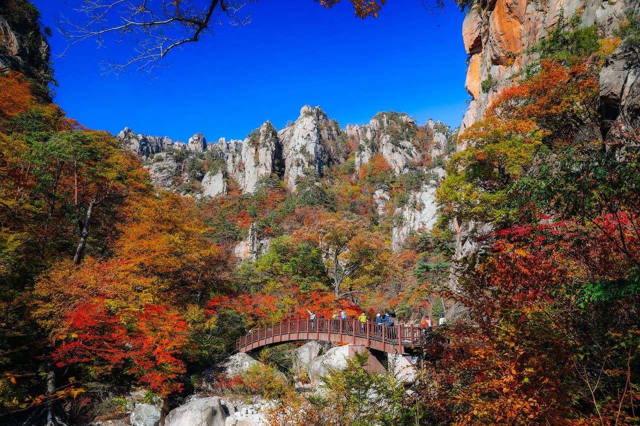 Mt. Seorak National Park Autumn Foliage One Day Tour from Seoul - image 4