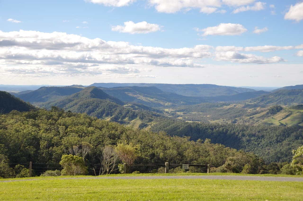 Lamington National Park Tour: O'Reilly's Rainforest Retreat and Canungra Valley Vineyard - image 3