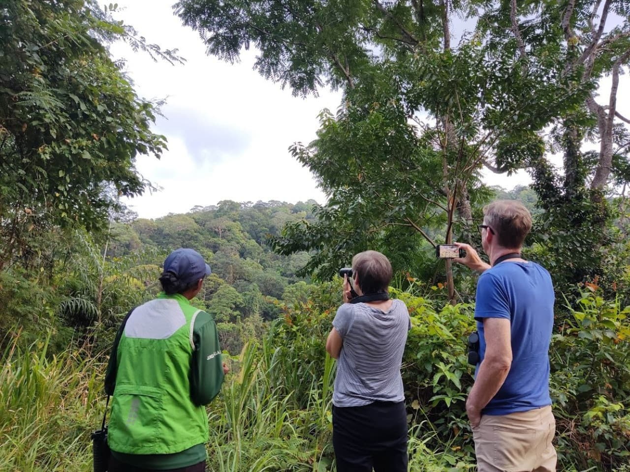 Langkawi Birdwatching Experience Tour - Half Day - image 5