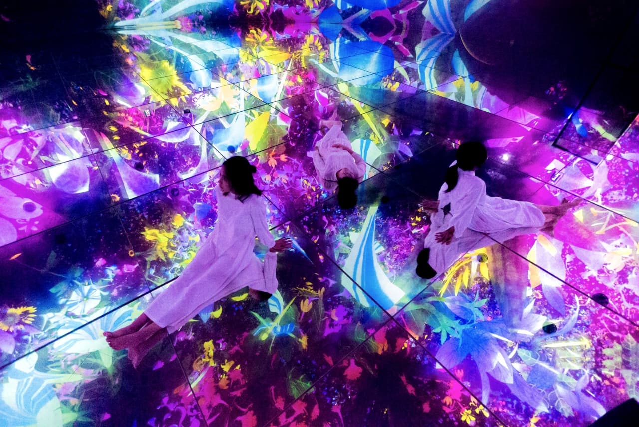 teamLab Planets TOKYO Ticket - image 8