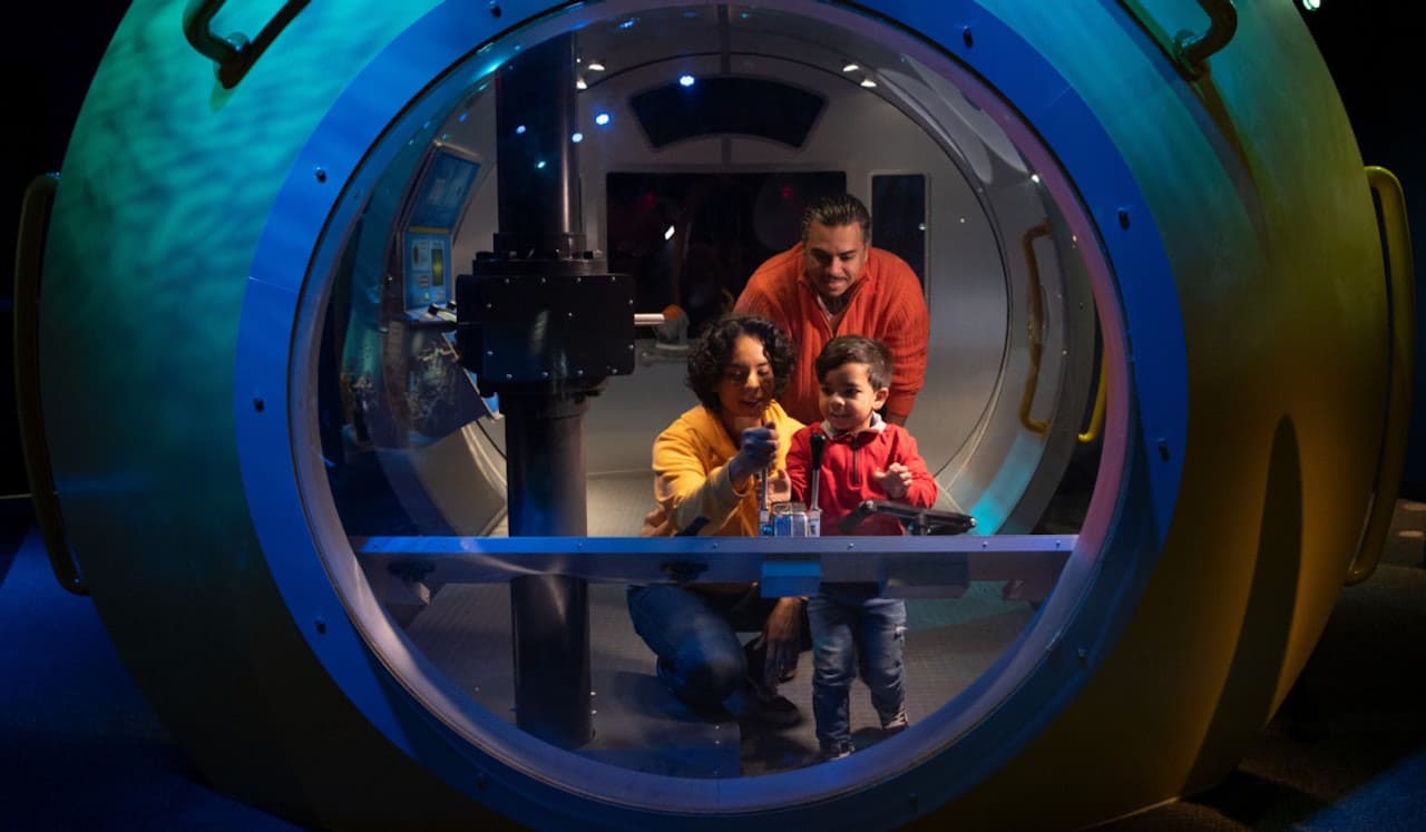 New York Aquarium - imagen principal