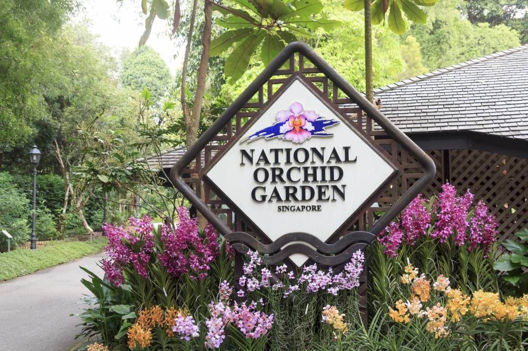 National Orchid Garden Ticket - main image