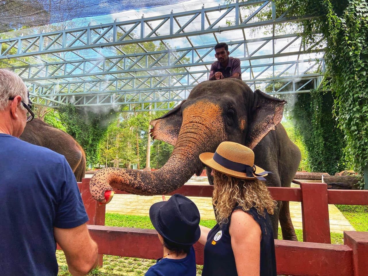Batu Caves and Kuala Gandah Elephant Sanctuary Full-Day Tour from Kuala Lumpur - image 7