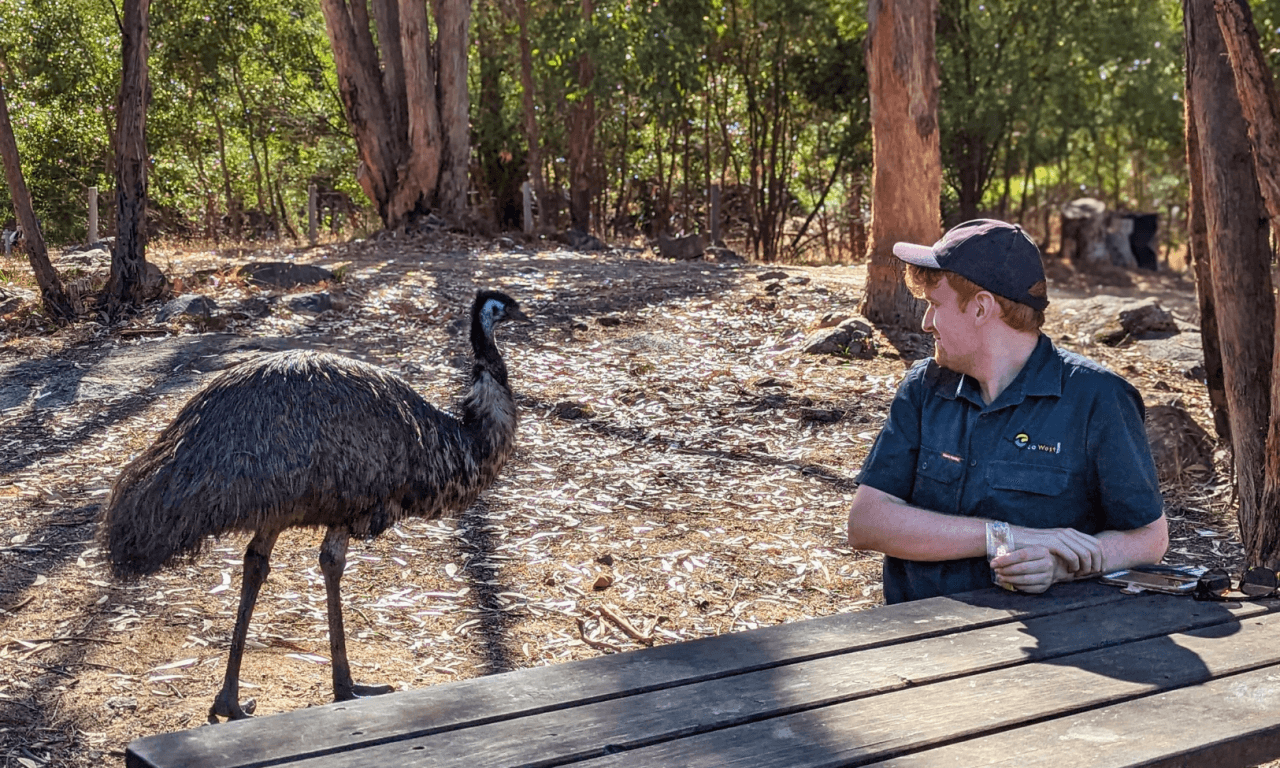 Grampians National Park Day Tour from Melbourne - image 10