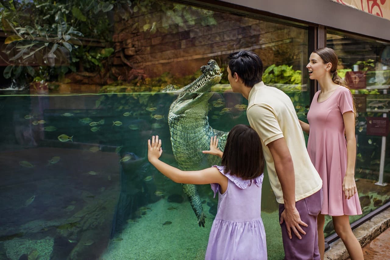 5-in-1 Day Pass: Night Safari + Singapore Zoo + Bird Paradise + River Wonders + Rainforest Adventure - image 6