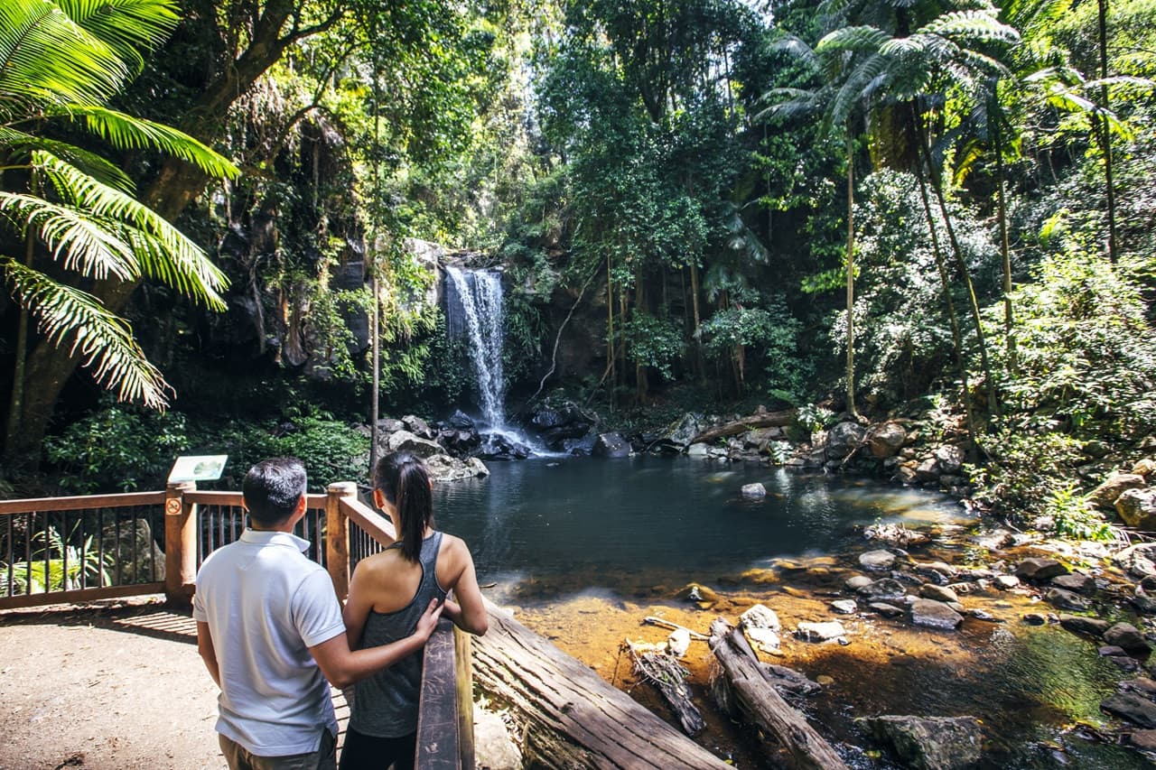 Tamborine Mountain Guided Walk and Wine Tasting Tour - image 6
