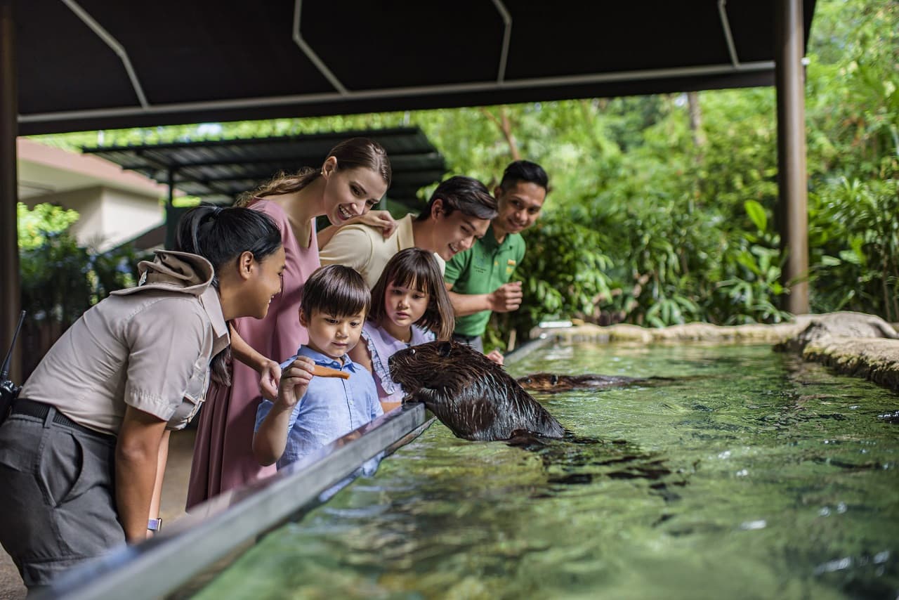 COMBO: Singapore Zoo + River Wonders Ticket - image 16
