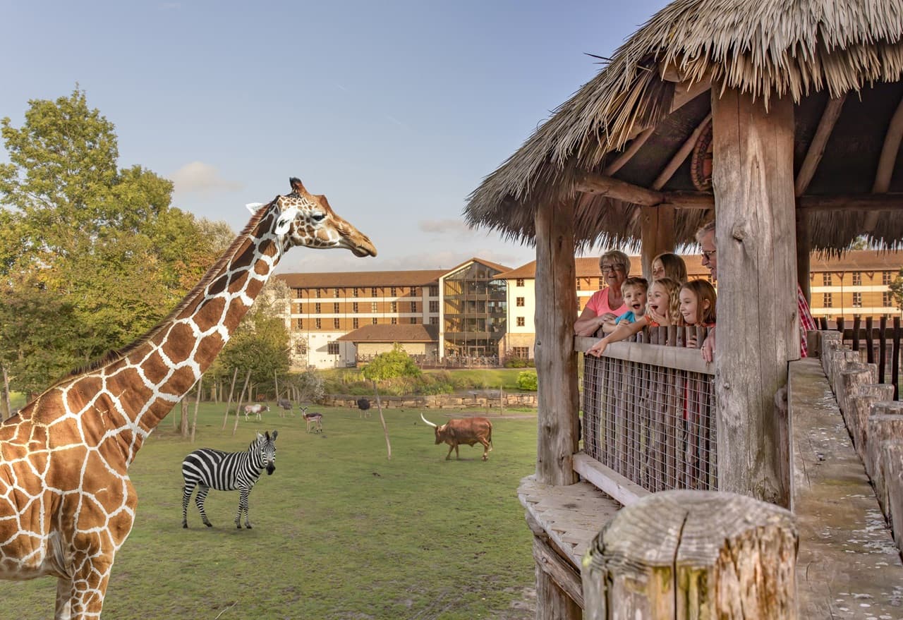 London Explorer Pass: Save up to 50% on Attractions - image 8