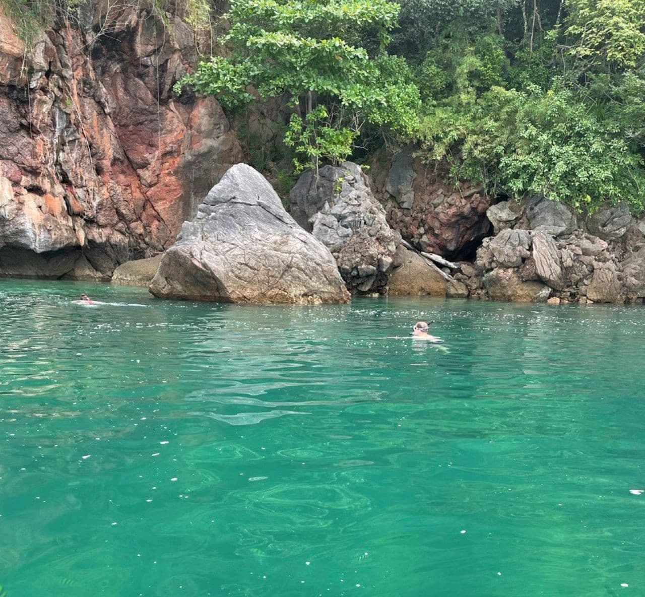 Crucero por el manglar de Langkawi y snorkel - imagen 6