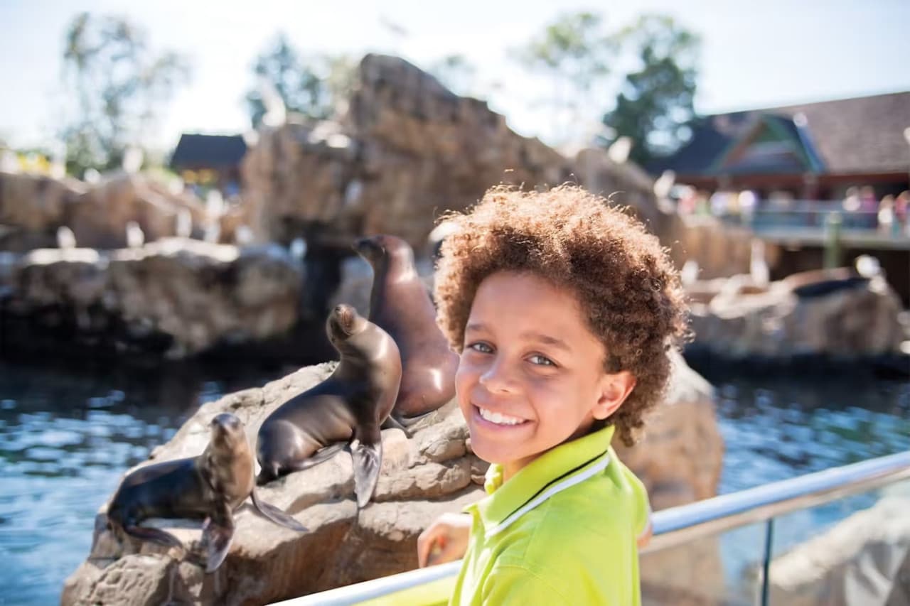SeaWorld San Diego Ticket: Direct Entry - image 15