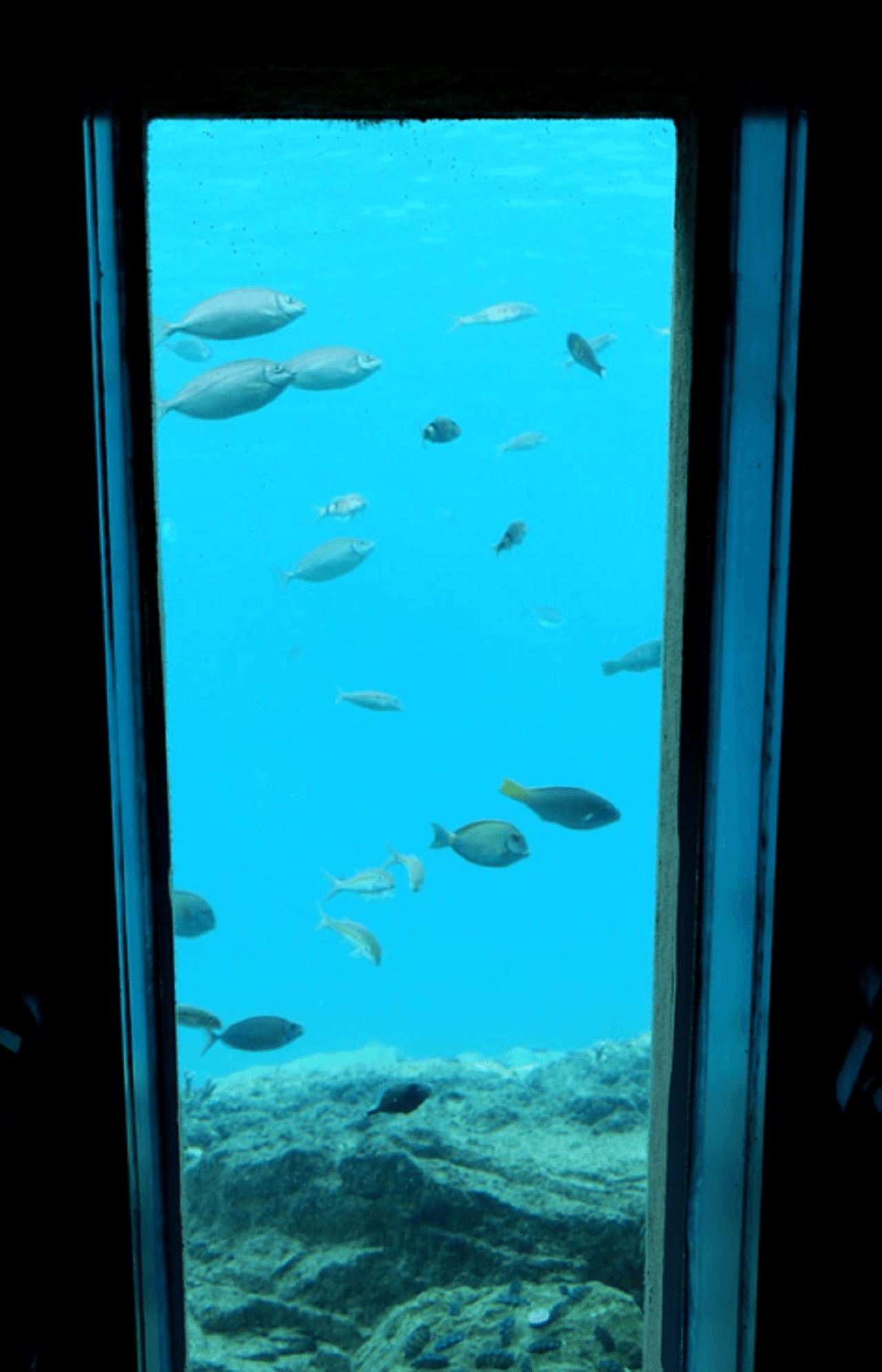 Okinawa Miyakojima Undersea Park - image 4
