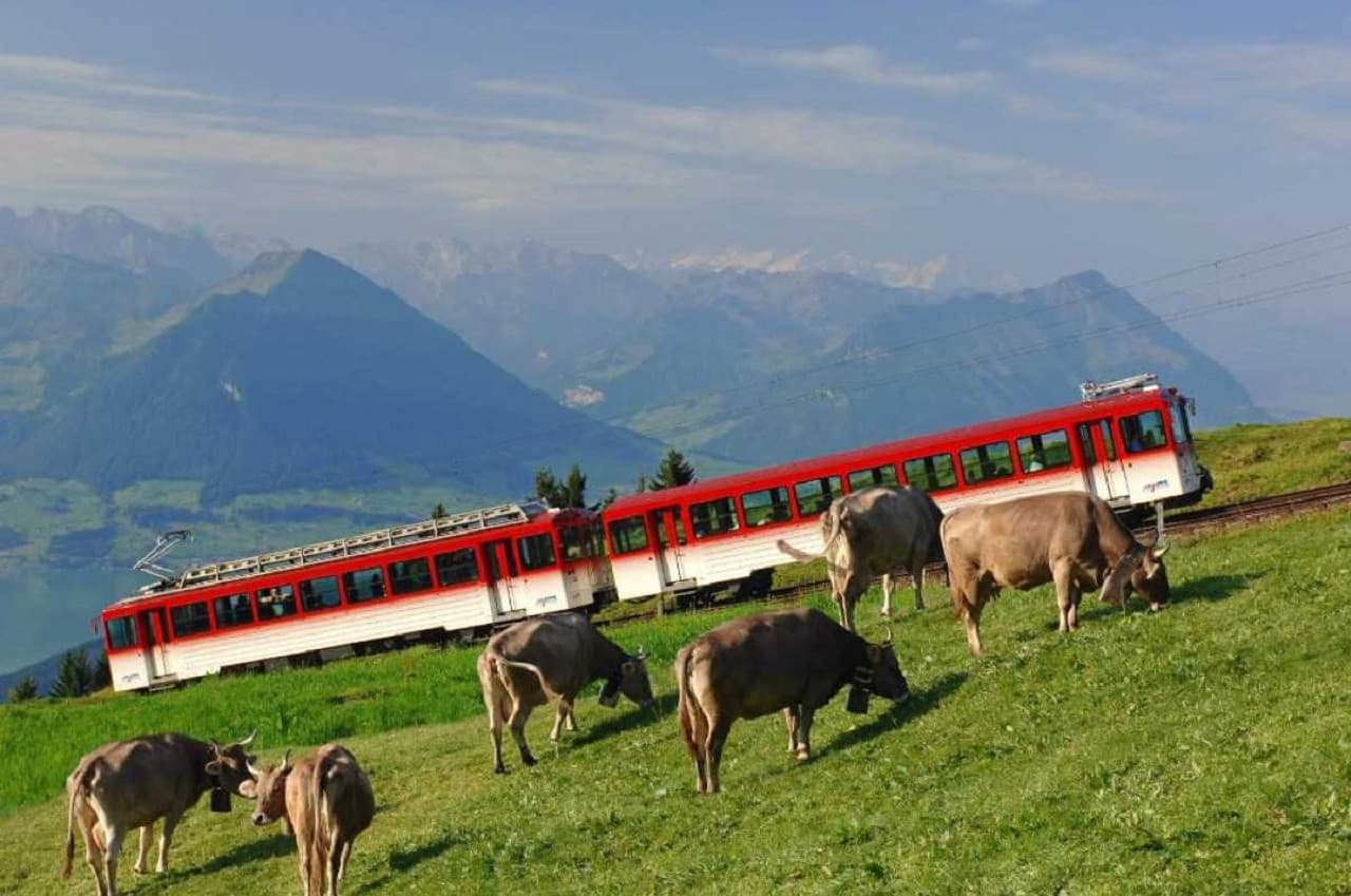 Mount Rigi Tour - image 2
