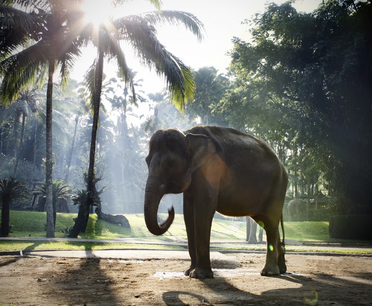 Mason Elephant Park Bali de Mason Adventures (anteriormente conocido como Elephant Safari Park) - imagen 7