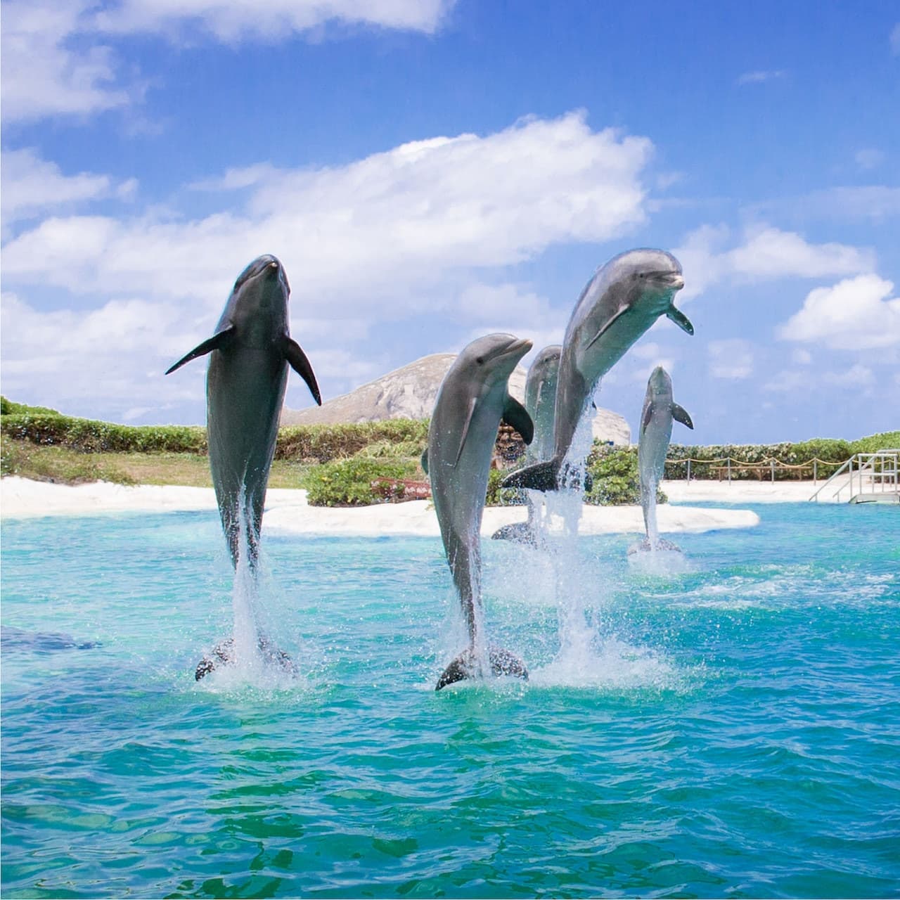 Sea Life Park Hawaii - main image