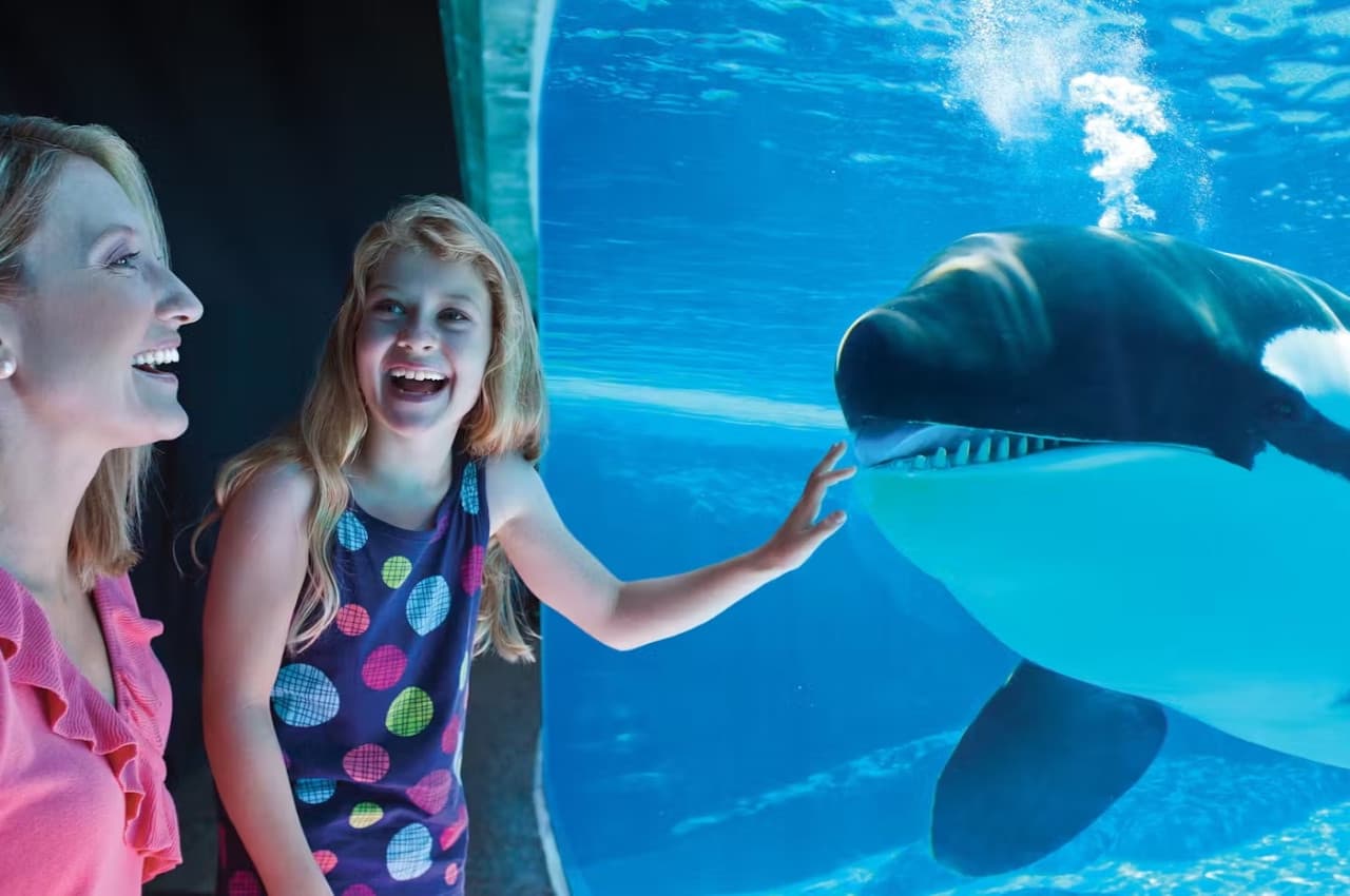 SeaWorld San Diego Ticket: Direct Entry - image 11
