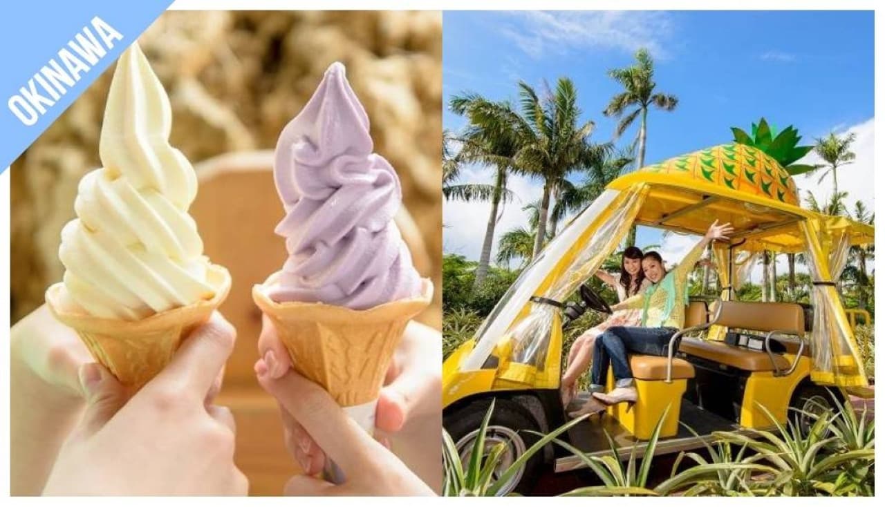 Have Fun in Okinawa Pass - 1 Week Free Pass - image 3