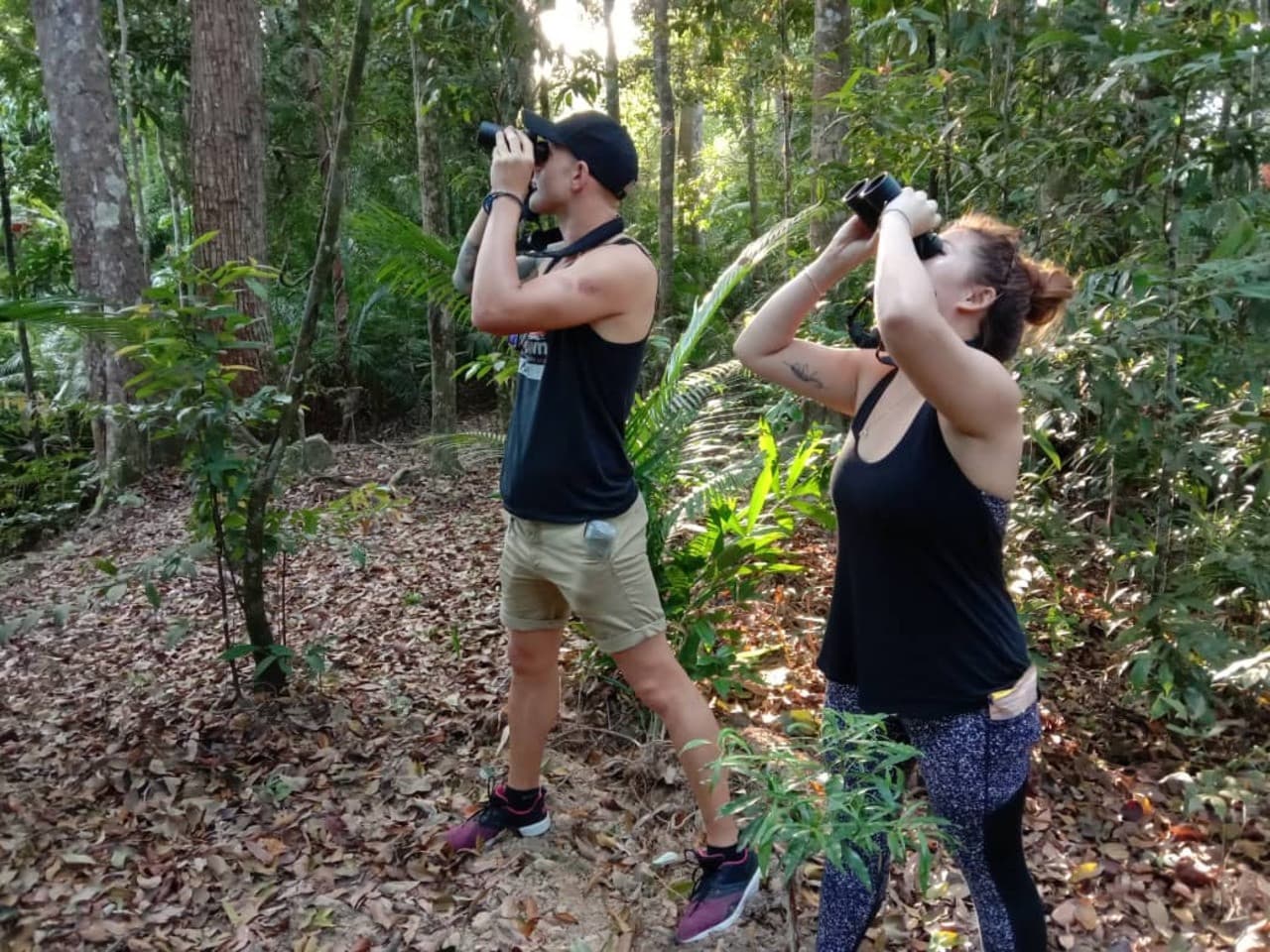 Tour de avistamiento de aves en Langkawi - Medio día - imagen 4