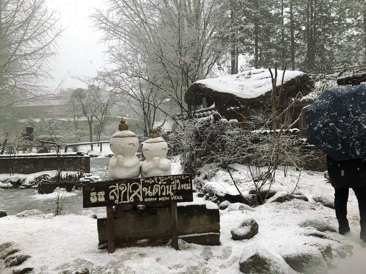 Nami Island and Mount Seorak Full-Day Tour from Seoul - image 10