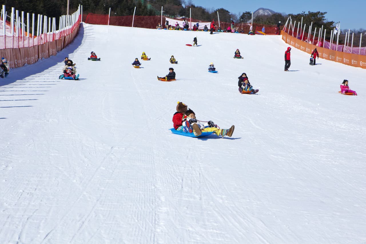 Elysian Gangchon Ski Resort and Nami Island Full-Day Tour from Seoul - image 3