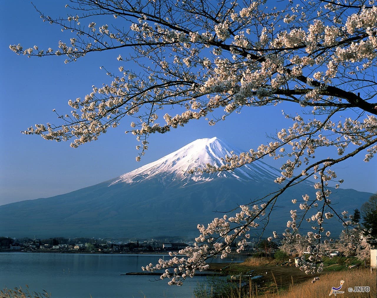 Mount Fuji and Oshino Hakkai Ole Hot Spring Full-Day Tour from Tokyo - imagen 2