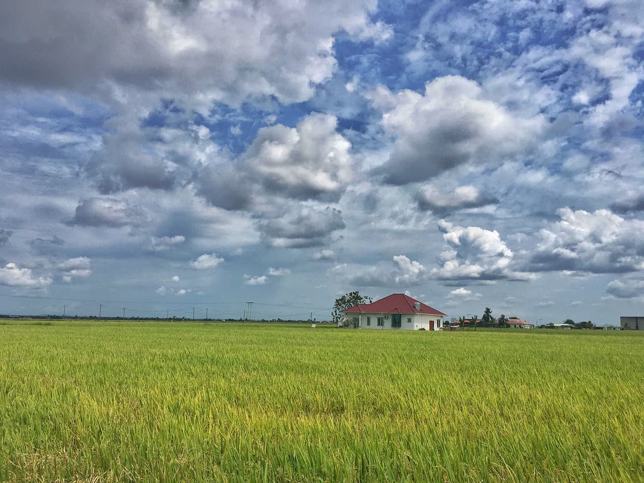 Sekinchan Paddy Fields and Fishing Village Tour from Kuala Lumpur - main image