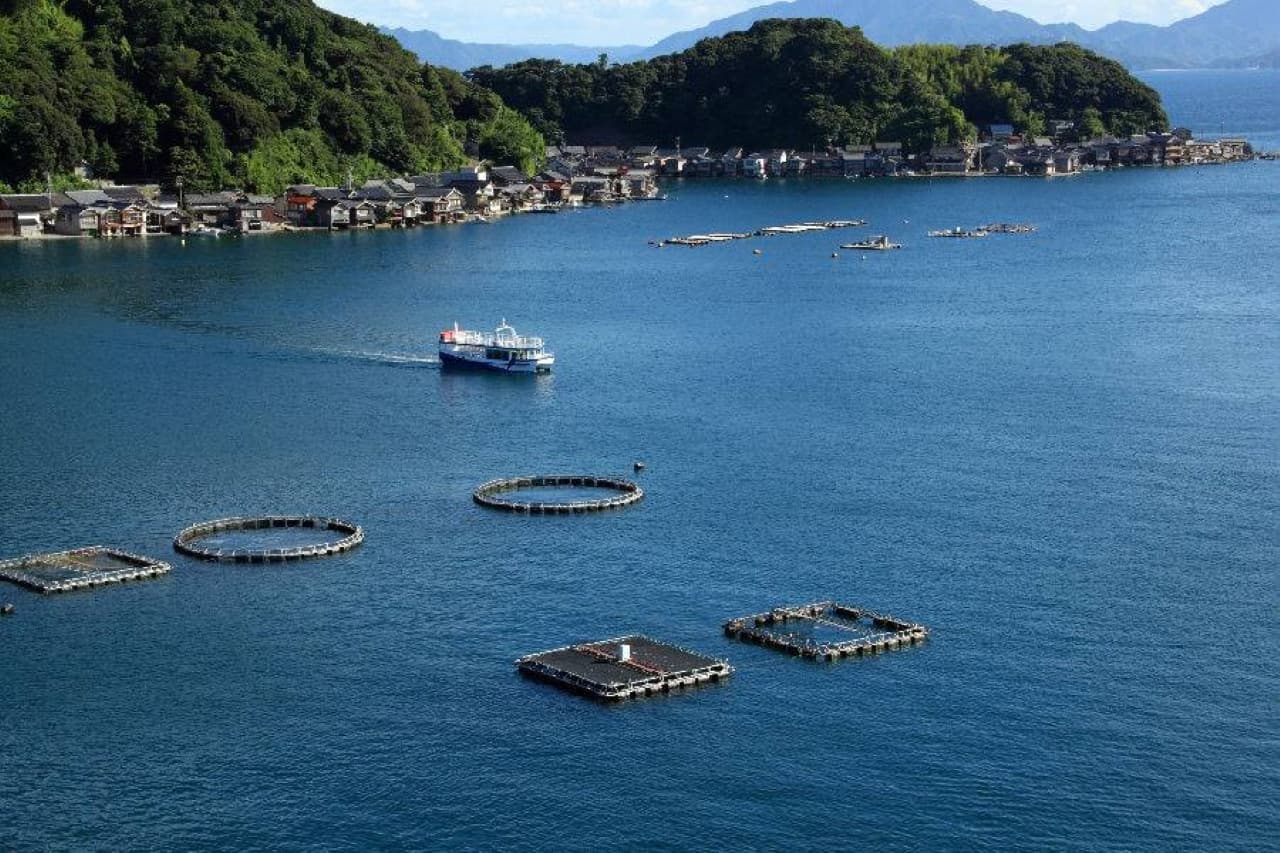 JR Kansai WIDE Area Pass - image 9